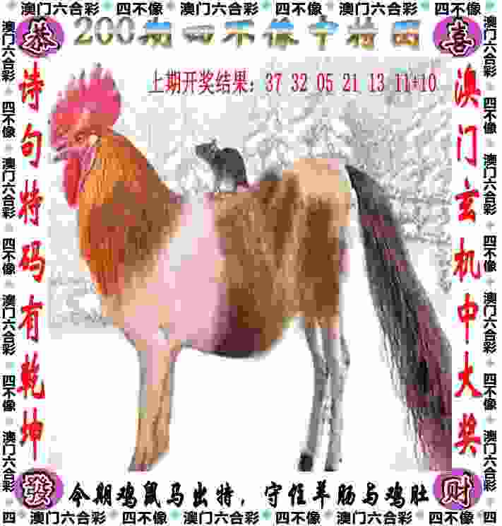 >新奥2025正版免费大全